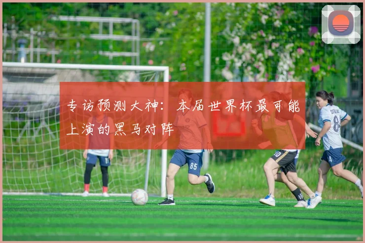 专访预测大神：本届世界杯最可能上演的黑马对阵