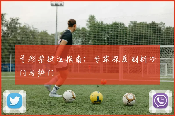 号彩票投注指南：专家深度剖析冷门与热门