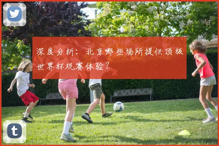 深度分析：北京哪些场所提供顶级世界杯观赛体验？