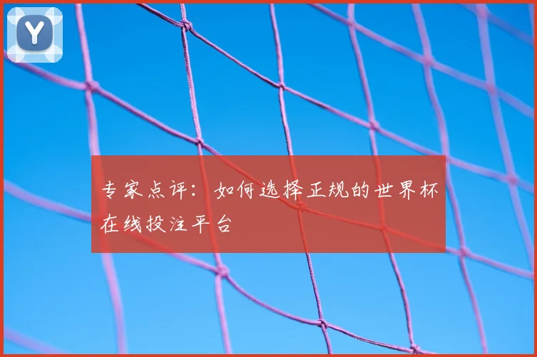 专家点评：如何选择正规的世界杯在线投注平台