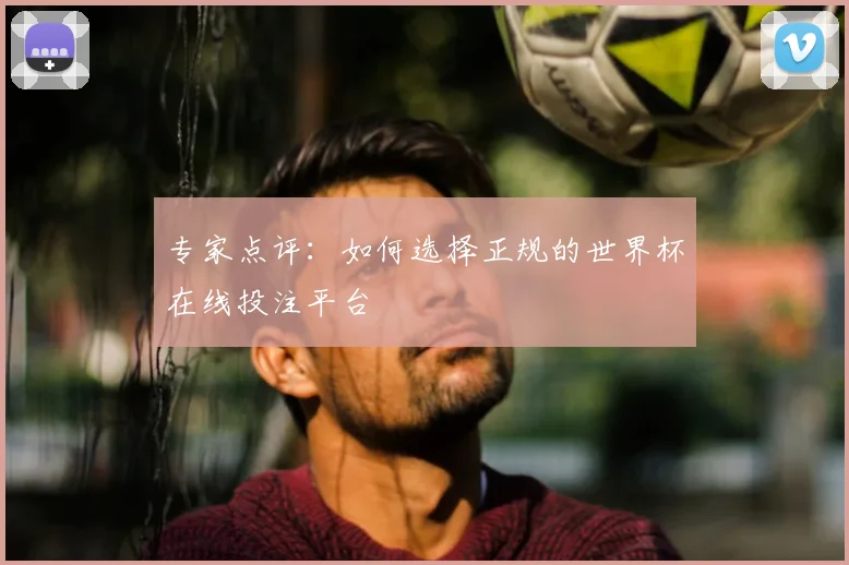 专家点评:如何选择正规的世界杯在线投注平台