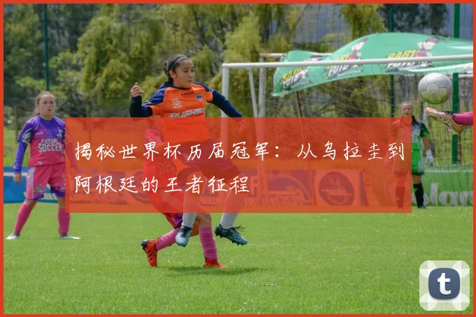 揭秘世界杯历届冠军：从乌拉圭到阿根廷的王者征程