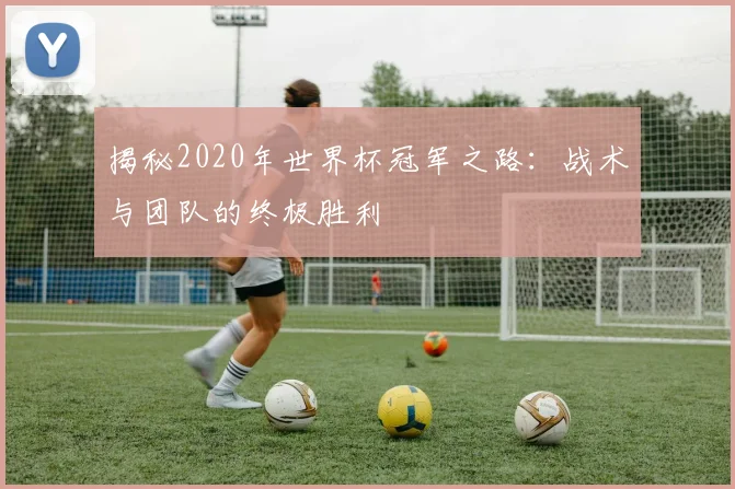 揭秘2020年世界杯冠军之路：战术与团队的终极胜利