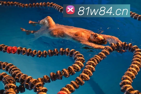 体育App